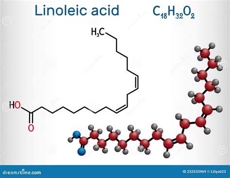 omega 6 linolzuur